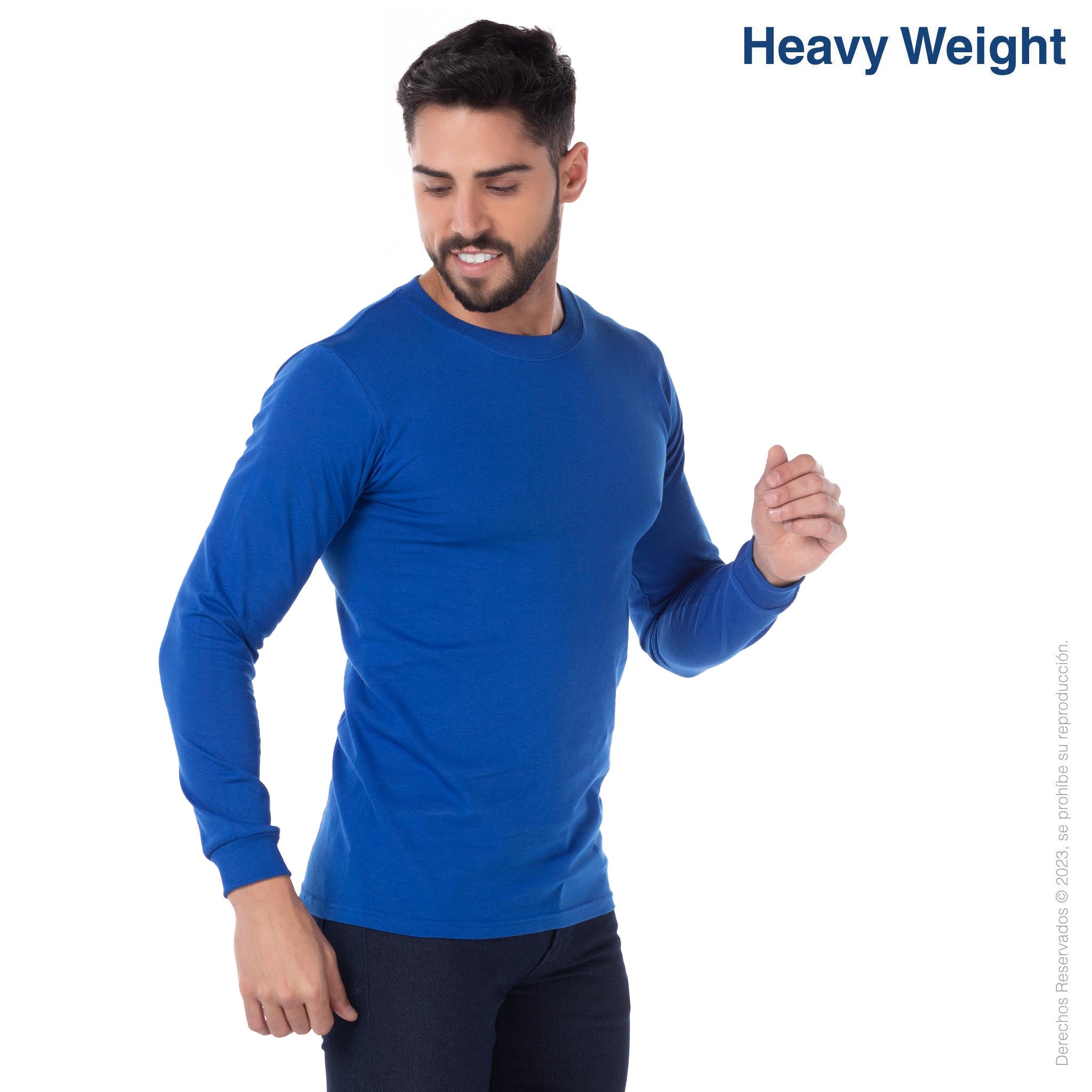 Men’s Heavy Weight Crew Neck Long Sleeve T Shirt (Royal) M / Florida
